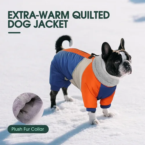 Miniatura 5 de Kuoser - Abrigo completo para perro - Abrigo cálido de invierno con chaqueta reflectante y arnés incorporado, adecuado para perros pequeños como Azul