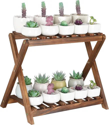 Soporte para plantas pequeñas para interiores de 2 niveles, soporte de mesa de flores para suculentas, soporte de estante para plantas de madera,