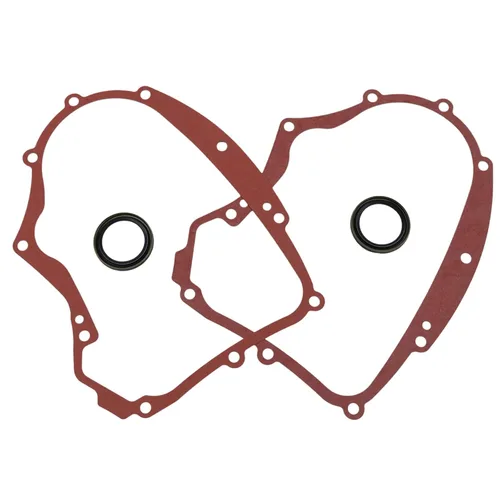 Kit de juntas de cárter de 2 piezas 594195 y 2 sellos de aceite 795387 compatibles con BS 591911 273488 690945 697227 591911 791892 690947 499145