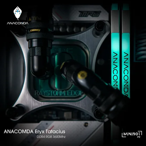 Miniatura 5 de ANACOMDA ET RGB Gaming DDR4 288-Pin PC RAM Memoria 3600MHz (PC4 28800) CL18 16GB (8GBX2) UDIMM (negro) con modelo de memoria de escritorio disipador