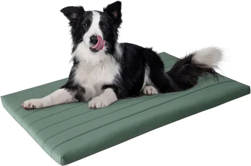 Miniatura 11 de BALANCE Cama para Jaula de Perro, Colchoneta Ortopédica para Perro con Forro Impermeable, Alfombrilla de Espuma Lavable para Jaula para Mascotas