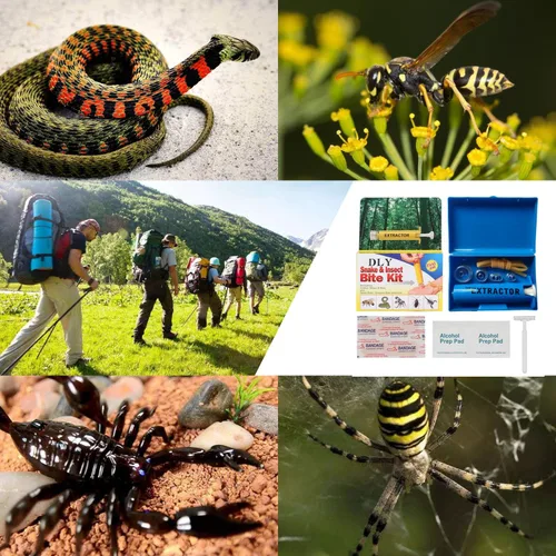 Miniatura 7 de DLY Kit de mordida de serpiente, kit de picadura de abeja, herramienta de succión de picadura de insectos, bomba de succión extractor de veneno