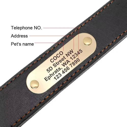Miniatura 4 de Didog Collares de perro de cuero genuino con placa de identificación grabada, collar de perro de cuero suave personalizado con etiqueta de Verde