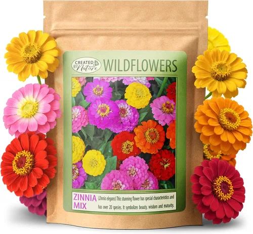 Created By Nature California Giant Zinnia - Semillas de flores silvestres, variedades de flores multicolores, más de 2,200 semillas sin OMG