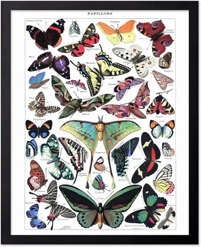 Miniatura 90 de Poster Master Póster vintage de miel, impresión retro de La Vie De L'Abeille, arte de panal de abeja, arte de pared de abeja, regalo para hombres
