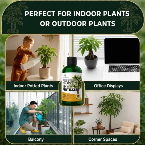 Miniatura 4 de Abono Líquido Profesional para Árbol del Dinero Concentrado 3-1-2 para Plantas y Flores Mezcla Multiusos y Suministros de Jardinería Botella
