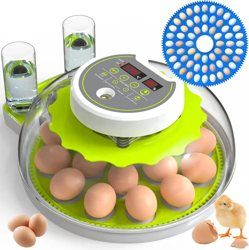 Incubadora de huevos de 18/60 con pantalla de humedad, incubadoras para incubar huevos, vela de huevos, girador automático de huevos, incubadora de