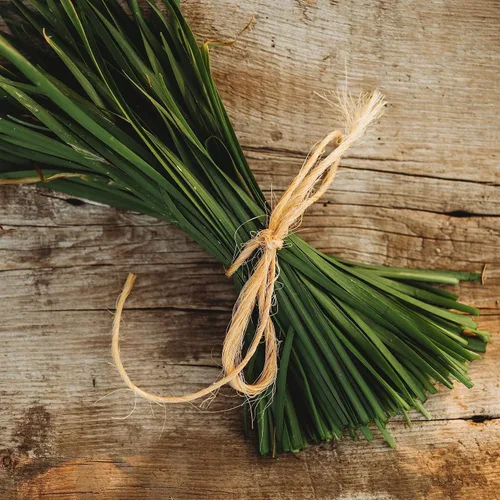 Miniatura 2 de Cebollino de ajo – 100 semillas – Variedad de reliquia y polinizada abierta, semillas de hierbas culinarias sin OMG para plantar, cultivar hierbas