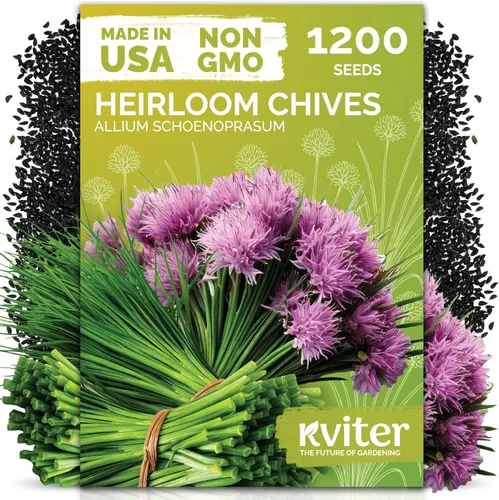 Miniatura 14 de KVITER 1000 semillas de quinua de cordero (Chenopodium Album) - Hierbas comestibles autóctonas, ideales para jardines de hierbas orgánicas