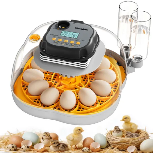 Miniatura 7 de Incubadora de 12 huevos con pantalla de temperatura y humedad, giro automático de huevos, vela de huevos, recarga automática de agua, para huevos