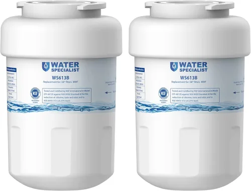 Waterspecialist WS613B Reemplazo para GE® MWF®, SmartWater® MWFP, MWFA, GWF, HDX FMG-1, WFC1201, GSE25GSHECSS, PC75009, RWF1060 Filtro de agua para