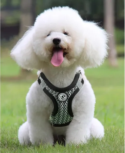 Miniatura 3 de Arnés para perros – Chaleco transpirable para cachorros para perros pequeños, arnés de malla para gatos (negro, S)