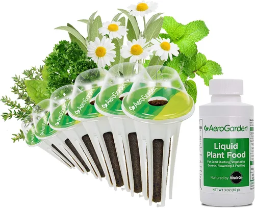 Miniatura 17 de AeroGarden Kit de Cápsulas de Semillas de Hierbas Italianas Surtidas, 6 Cápsulas
