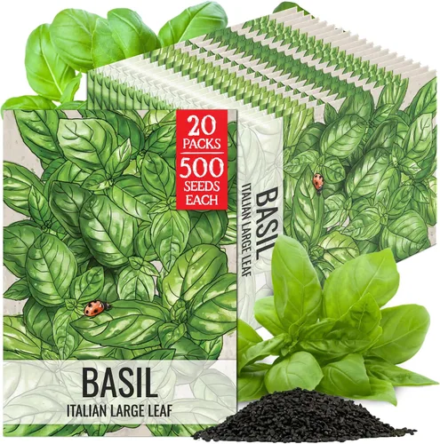 Miniatura 17 de Seed Needs Semillas de albahaca para plantar hierbas de albahaca tailandesa, sin OMG y semillas de hierbas sin tratar para cultivar un jardín