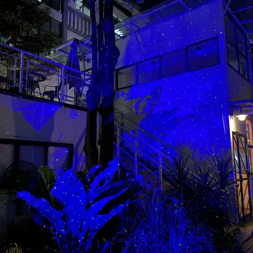 Miniatura 4 de Firefly - Luces de jardín con proyector de estrellas, luces láser de Navidad para jardín, césped, patio
