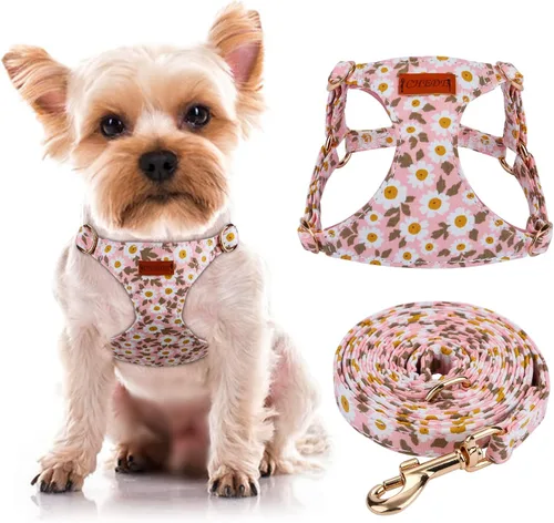 Miniatura 11 de CHEDE Arnés para Perro sin Tirones con Patrón Floral - Arnés para Perro Ligero y Suave, Arnés Ajustable para Perros Pequeños y Juego de Correa