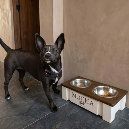 Miniatura 92 de GrooveThis Woodshop Soporte Personalizado de Cuenco Elevado para Perros de Tamaño Grande, Mediano, Pequeño y Extra Pequeño - Cuencos de Acero Negro