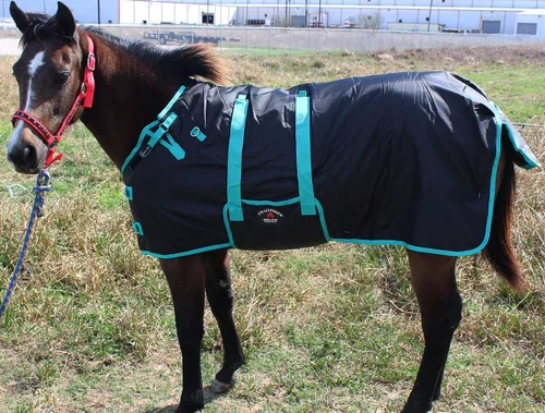 Miniatura 3 de Manta de invierno de 36" 1200D para potro, poni, caballo pequeño, asno recién destetado Teal 51945