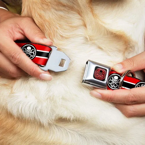 Miniatura 8 de Buckle-Down Collar de perro Hebilla de cinturón de seguridad Hydra Logo Stripe Rojo Negro Blanco, Multicolor, 1 pulgada de ancho - Se adapta a