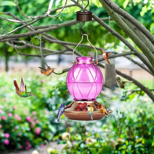 Miniatura 6 de BOLITE Comederos para colibríes para exteriores colgantes, comedero de vidrio para colibríes, comedero para aves silvestres con cinco puertos de azul