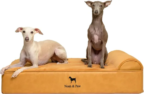 Miniatura 23 de NOAH & PAW Cama para perro, 28x23x7.5 pulgadas, camas ortopédicas para perros de tamaño mediano, espuma viscoelástica tipo cáscara de huevo Cuero