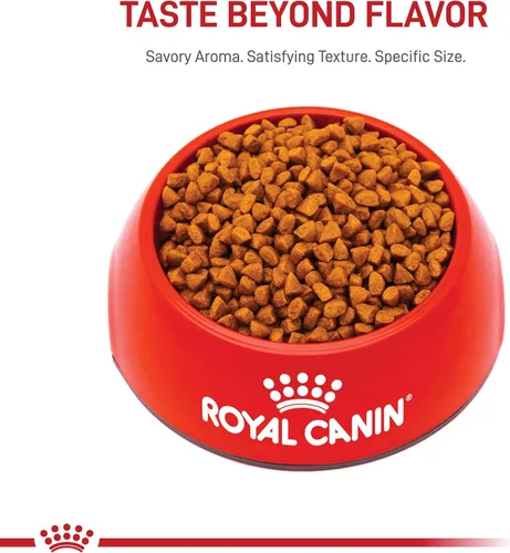 Miniatura 10 de De Royal Canin, Size Health Nutrition, comida seca para cachorros extra pequeños, comida para perros