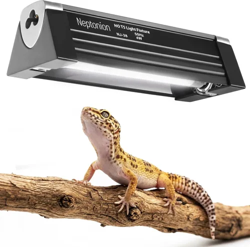 Lámpara UVB T5 para Reptiles de 16.5 cm con Bombilla UVB 5.0 de Alta Salida Cubierta para Terrarios, Reptiles Tomando el Sol, Lagartos, Camaleones,