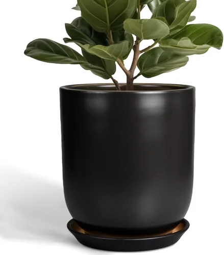 Miniatura 44 de Maceta de Cerámica para Plantas de Interior de 5 Pulgadas - Maceta Redonda para Plantas Suculentas con Agujero de Drenaje y Platillo, Decoración