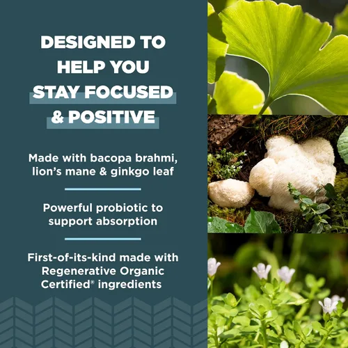 Miniatura 4 de Ancient Nutrition Cápsulas cerebrales enfocadas certificadas orgánicas regenerativas, hechas con hoja de ginkgo, melena de león para ayudar a