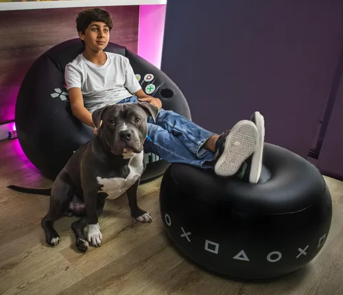 Miniatura 2 de FranFusion Silla de Juegos Inflable para Niños y Adolescentes con Portavasos y Bolsillo Lateral - Esta Silla de Juegos de Puf de Aire es el Mueble