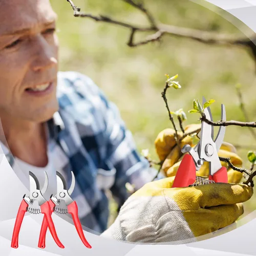 Miniatura 3 de Chumia 30 Tijeras de Podar de Flores de Jardín Tijeras de Poda Resistentes Tijeras para Plantas Cortadoras de Jardín Podadora de Mano para Árboles