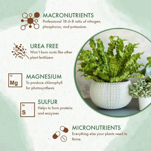Miniatura 3 de Alimento para plantas de interior – Fertilizante multiusos (alternativa líquida) – Lo mejor para plantas de interior + plantas comunes de exterior