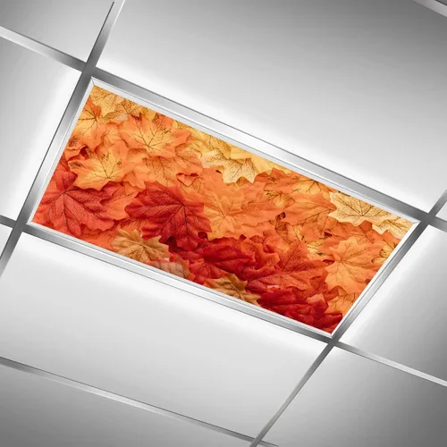 Miniatura 31 de Cubiertas de luz fluorescente para luces de techo de aula – Película retroiluminada de 2x4 pies para luminarias fluorescentes, fácil de instalar
