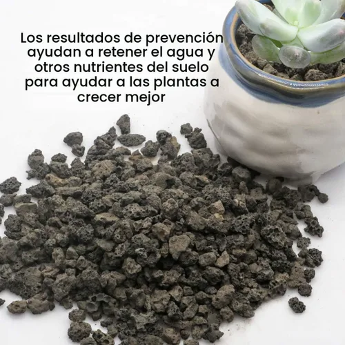 Miniatura 5 de TOYPOPOR Aditivo de suelo de roca de lava hortícola negra para cactus y plantas suculentas sin tintes ni productos químicos, 100% pura roca