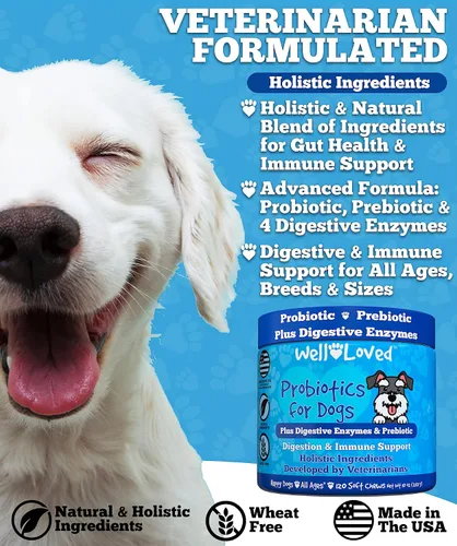 Miniatura 3 de Well Loved Probióticos para perros, probióticos para perros, fabricados en Estados Unidos, desarrollados por veterinarios para la salud intestinal