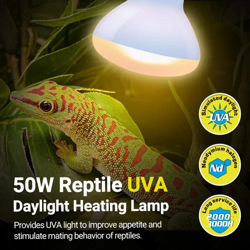 Miniatura 3 de REPTI ZOO Lámpara de calor para reptiles, paquete de 2 lámparas de 50 W para reptiles UVA luz diurna lámpara de calefacción bombilla bombilla luz