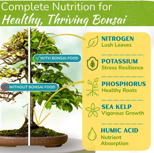 Miniatura 2 de Alimento para árbol bonsái Fertilizante líquido suave de primera calidad para un crecimiento saludable, tallos fuertes y hermosas floraciones