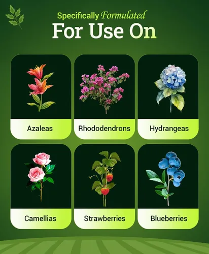 Miniatura 5 de FoxFarm Happy Frog Fertilizante para plantas amantes del ácido – Fertilizante de liberación lenta para azaleas, rododendros, arándanos y más