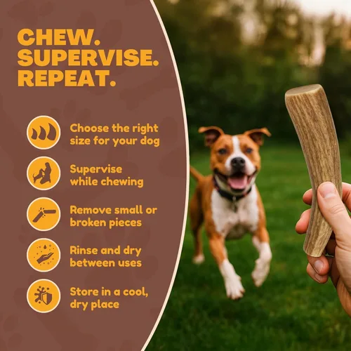 Miniatura 6 de Whitetail Naturals - Paquete de 3 masticables medianos para perros con cuernos de ciervo - Cuernos para perros medianos - Huesos de perro