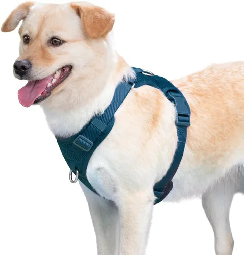 Miniatura 8 de Arnés sin tirones para perros pequeños, medianos y grandes, chaleco de malla ajustable de 2 capas con doble clip, a prueba de escapes, liberación