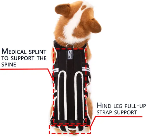 Miniatura 4 de Soporte de espalda para perros con IVDD, artritis, dolor de espalda, recuperación quirúrgica y rehabilitación, alivio del dolor de espalda de perro