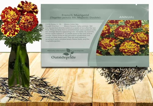 Miniatura 15 de Outsidepride 250 semillas anuales Tagetes Patula Outback French Marigold Garden Flower Seed Mix para plantar French Outback Mix