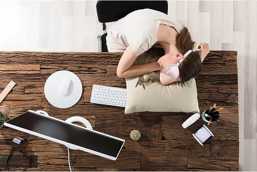 Miniatura 4 de Fundas de almohada para sofá, divertidas y lindas fundas de almohada de mapache o sofá, color marrón y blanco, gestos de roca, fundas de cojín