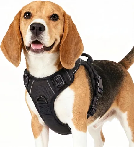 Miniatura 6 de Funfox Arnés para perro sin tirones, chaleco ajustable para mascotas con asa de control y clip frontal, diseño reflectante para perros pequeños