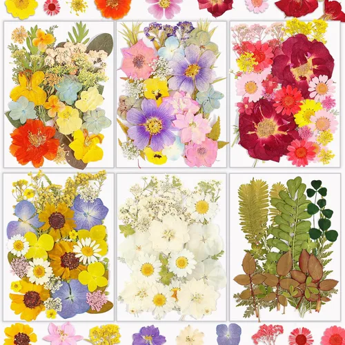Miniatura 12 de Flores Secas, Resiners 58 Piezas Flores Prensadas para Manualidades Rosa Flores Secas Naturales Reales Kit de Hojas Secas para DIY Hacer