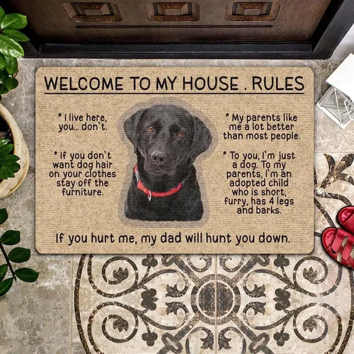 QISPIOD, Tapete para puerta de entrada interior con texto en inglés "Welcome to My House Rules", tapete de bienvenida para perro, tapete para