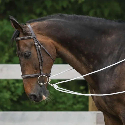 Miniatura 4 de Sistema de entrenamiento europeo avanzado Herramienta de entrenamiento avanzada Mejora el carro de caballos y los auriculares Fomenta