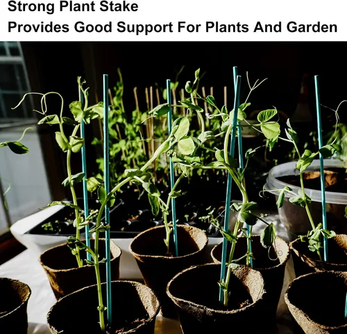 Miniatura 5 de 50 piezas de varillas de soporte para plantas de 18 pulgadas, palos de bambú verde, estacas de madera para jardín, estacas de madera