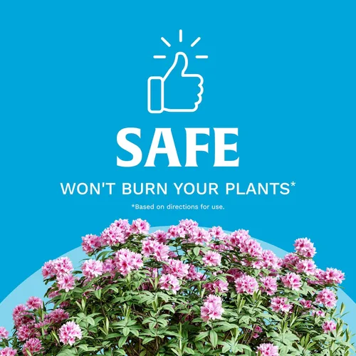Miniatura 6 de Scotts Evergreen - Alimento vegetal de liberación continua para árboles en flor y arbustos, 3 libras