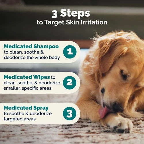 Miniatura 7 de Vetnique Dermabliss Clorhexidina para la salud de la piel de los perros, aerosol medicado antibacteriano, para infecciones de la piel e irritación